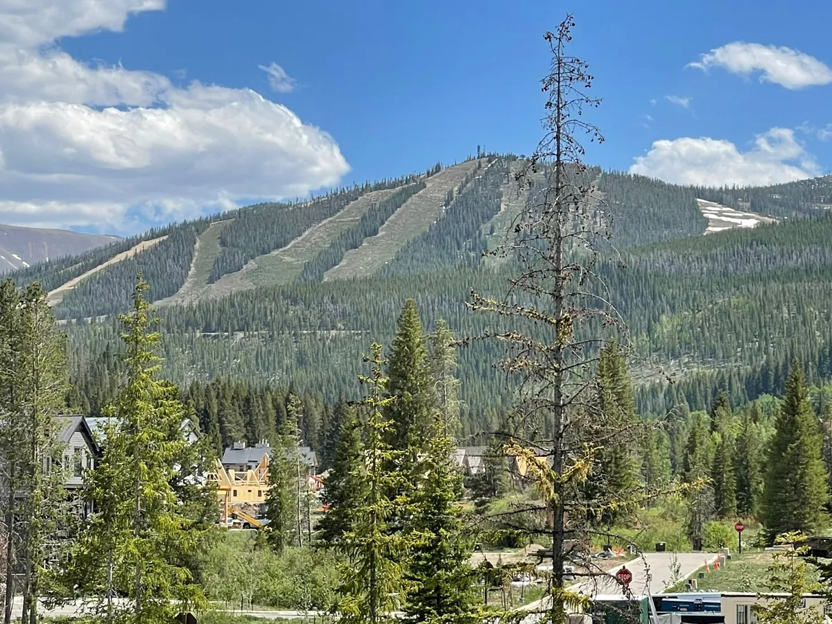 A sweeping view of mountain slopes framed by tall evergreen trees, with several residential buildings nestled into the landscape. The vantage point hints at a vibrant, active neighborhood surrounded by natural beauty, ideal for outdoor activities and community gatherings.