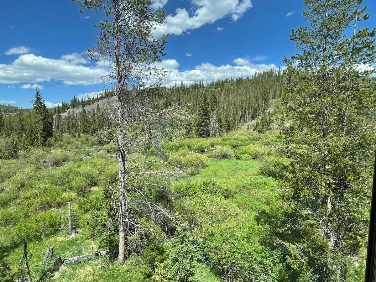An inviting exterior scene featuring tall trees, lush greenery, and a brilliant blue sky. The view is peaceful and expansive, suggesting a connection to nature and opportunities for exploration outside the condo.